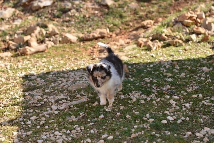 Jen bleue des Crocs de Provence