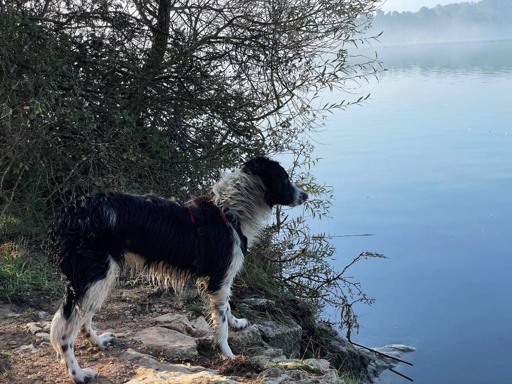 Rikie des Crocs de Provence