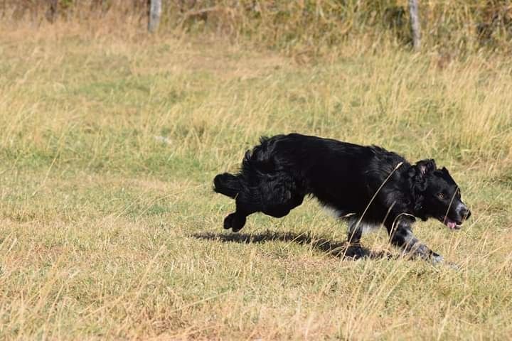 Occhiolino des Crocs de Provence