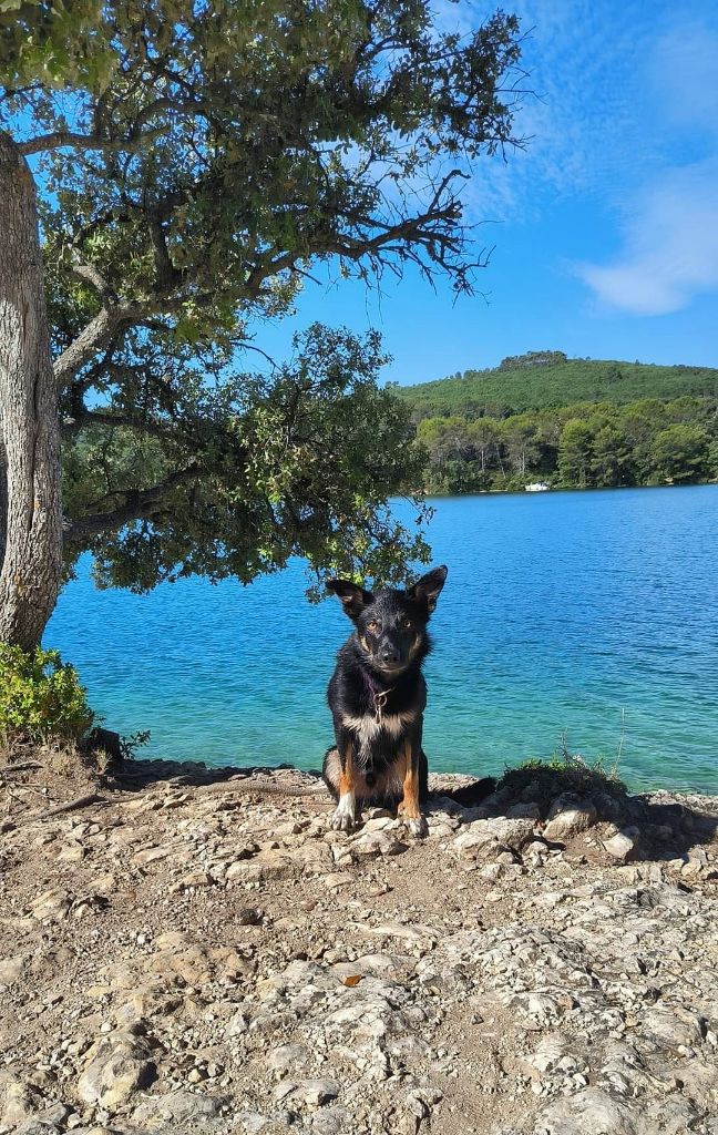 Sao des Crocs de Provence