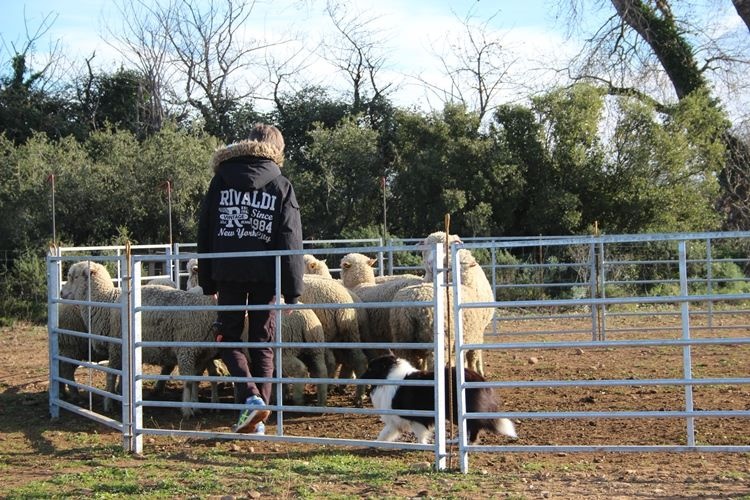 Idylle noire des Crocs de Provence