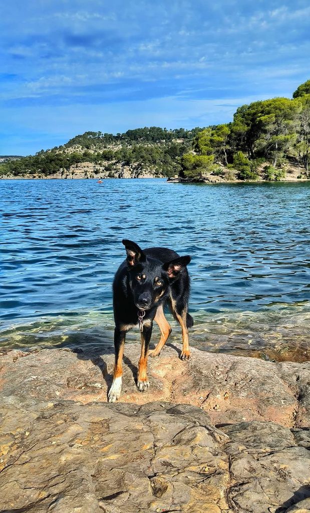 Sao des Crocs de Provence