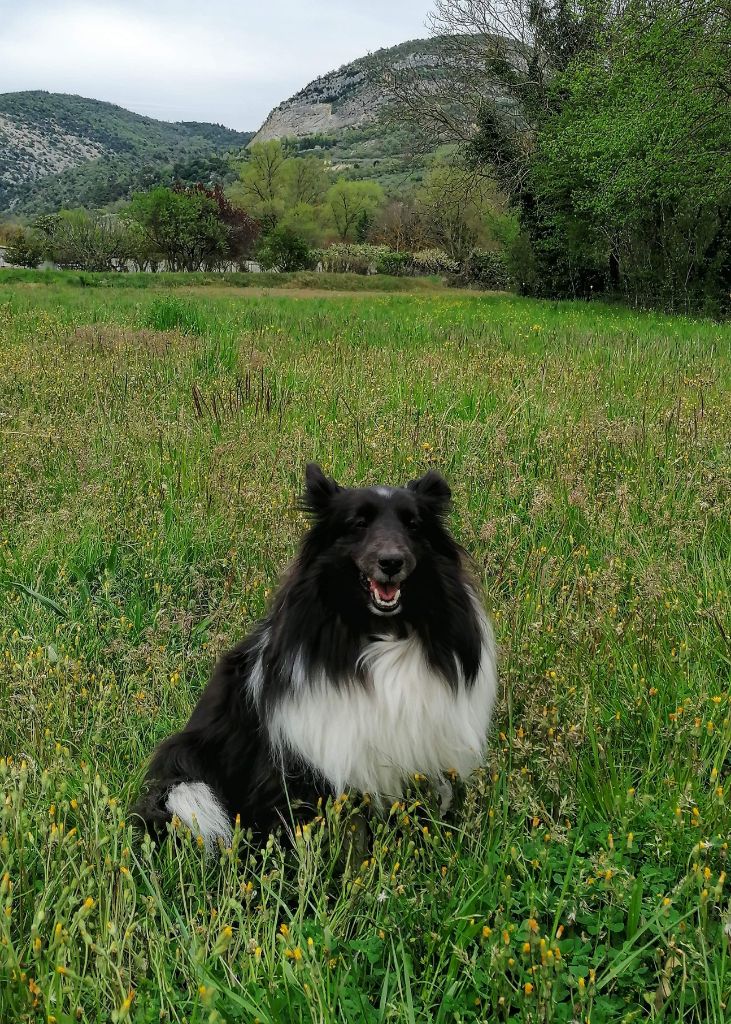 Idylle noire des Crocs de Provence