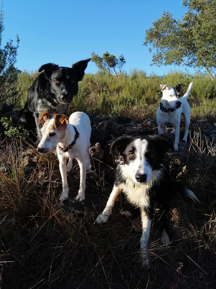 Occhiolino des Crocs de Provence