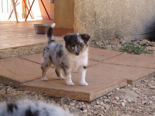 Nirvana bleue des Crocs de Provence