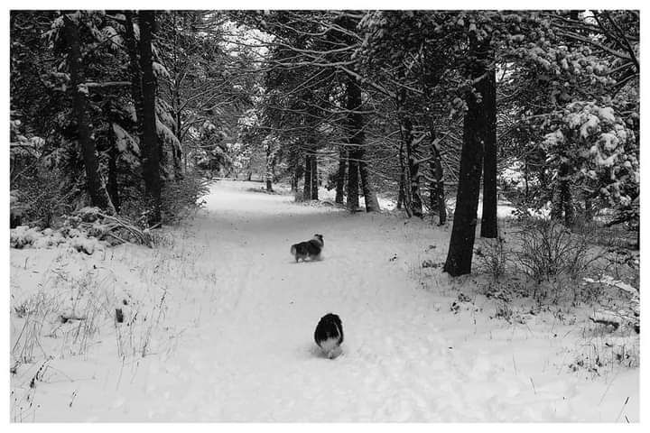 Idylle noire des Crocs de Provence