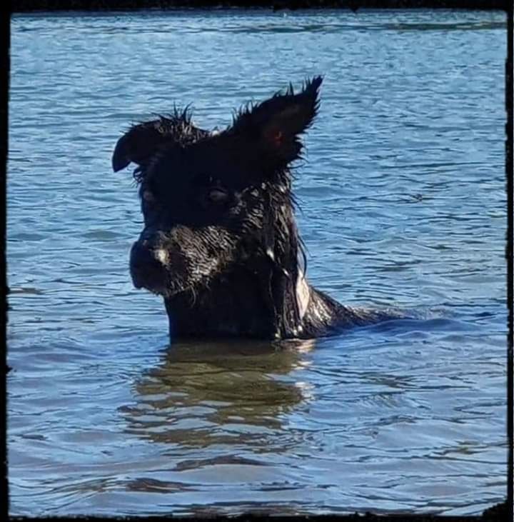 Occhiolino des Crocs de Provence