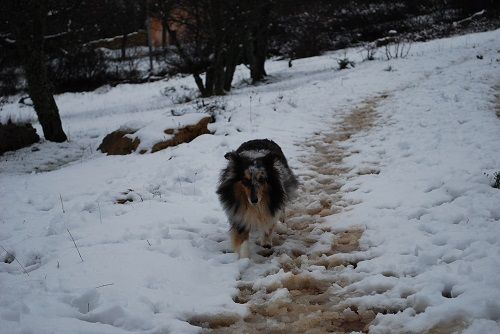 Jen bleue des Crocs de Provence