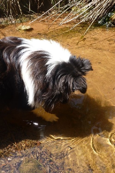 Idylle noire des Crocs de Provence