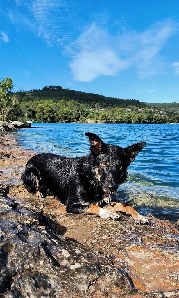 Sao des Crocs de Provence