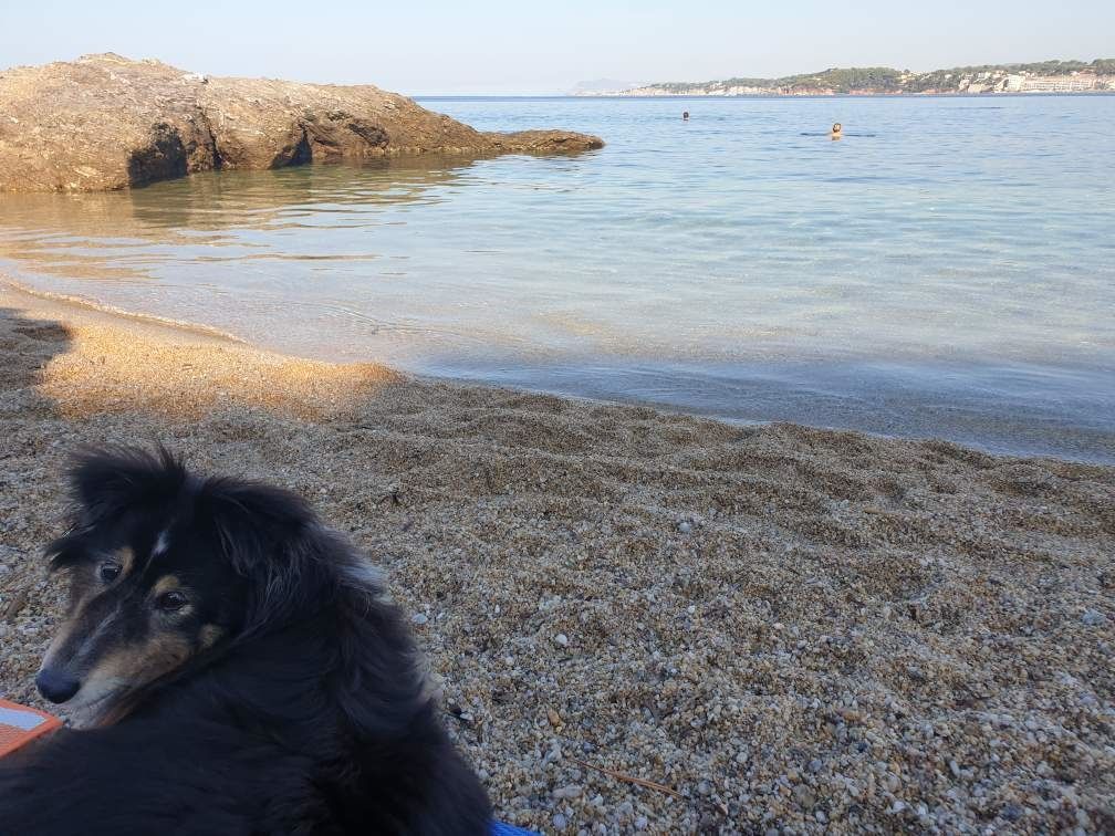 Haîku brune des Crocs de Provence