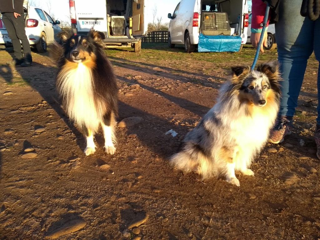 Olga papillon bleue des Crocs de Provence