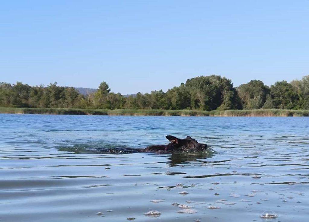 Sao des Crocs de Provence