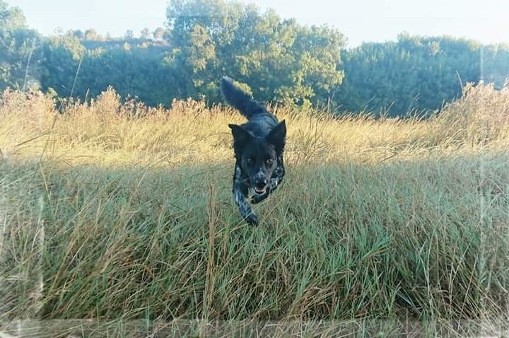 Occhiolino des Crocs de Provence