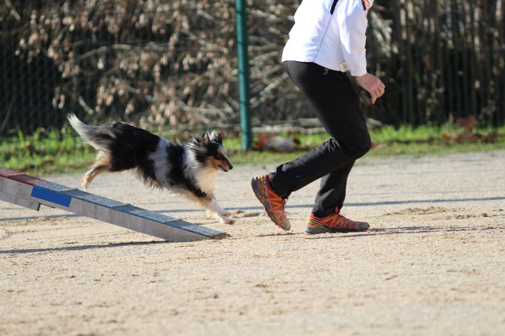 Jen bleue des Crocs de Provence