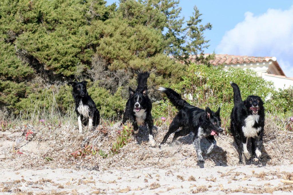 Occhiolino des Crocs de Provence