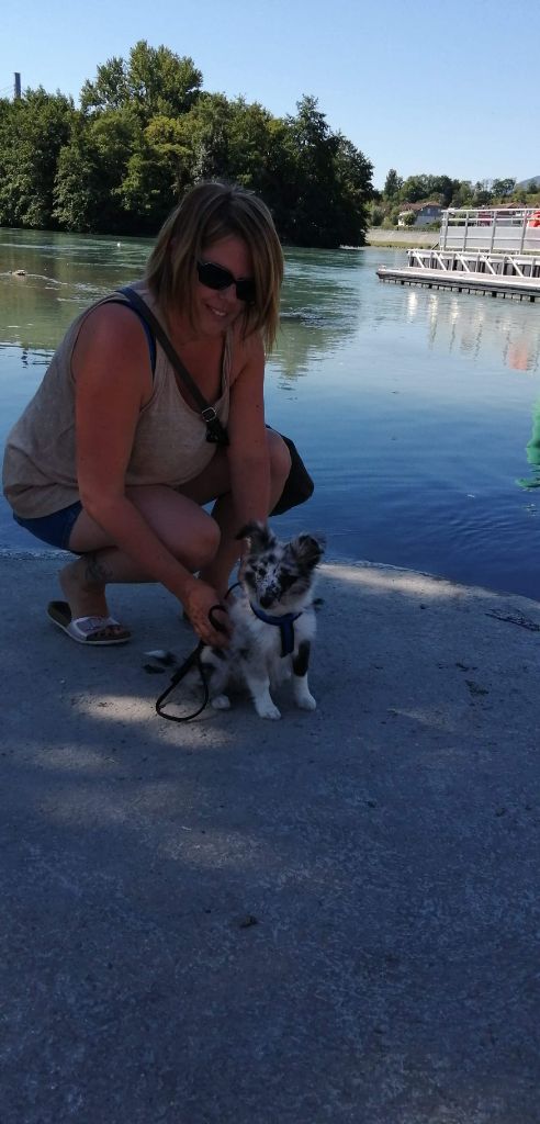 Rebel la bleue des Crocs de Provence