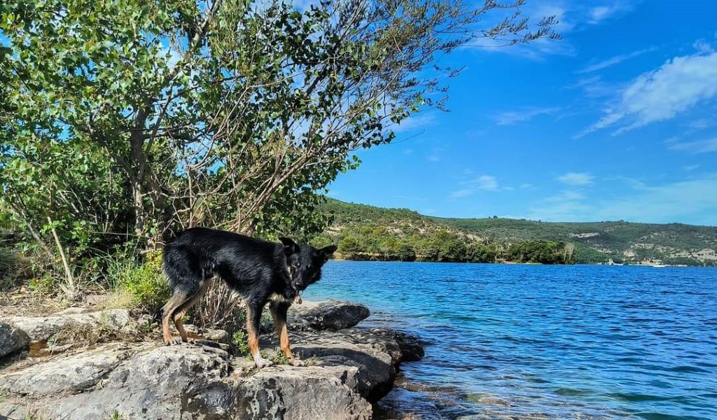 Sao des Crocs de Provence