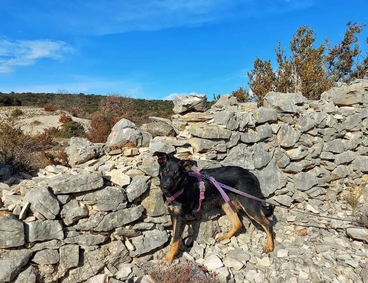 Sao des Crocs de Provence