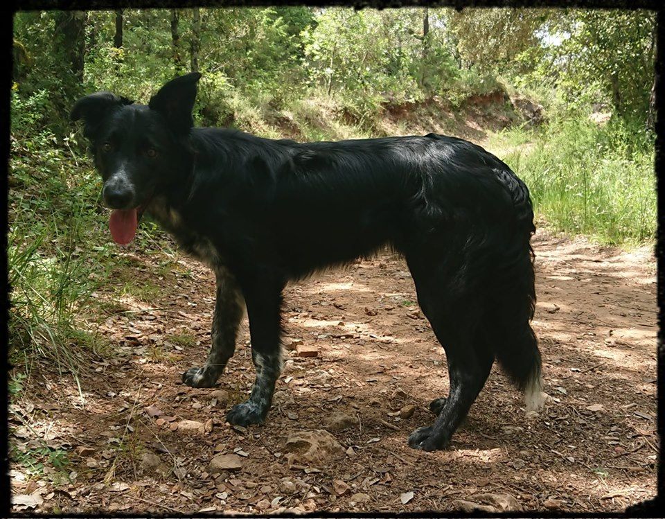 Occhiolino des Crocs de Provence