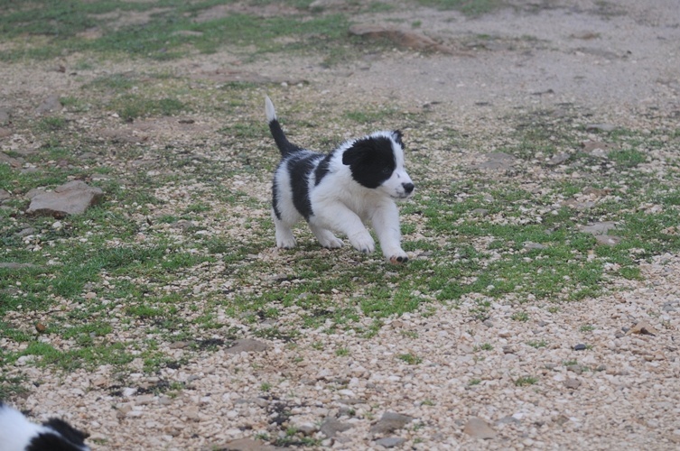 In extrémis des Crocs de Provence