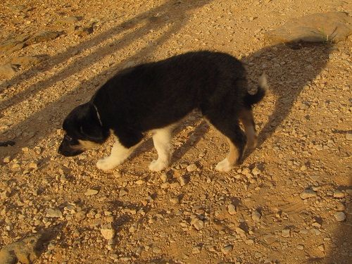 Nausicaa des Crocs de Provence