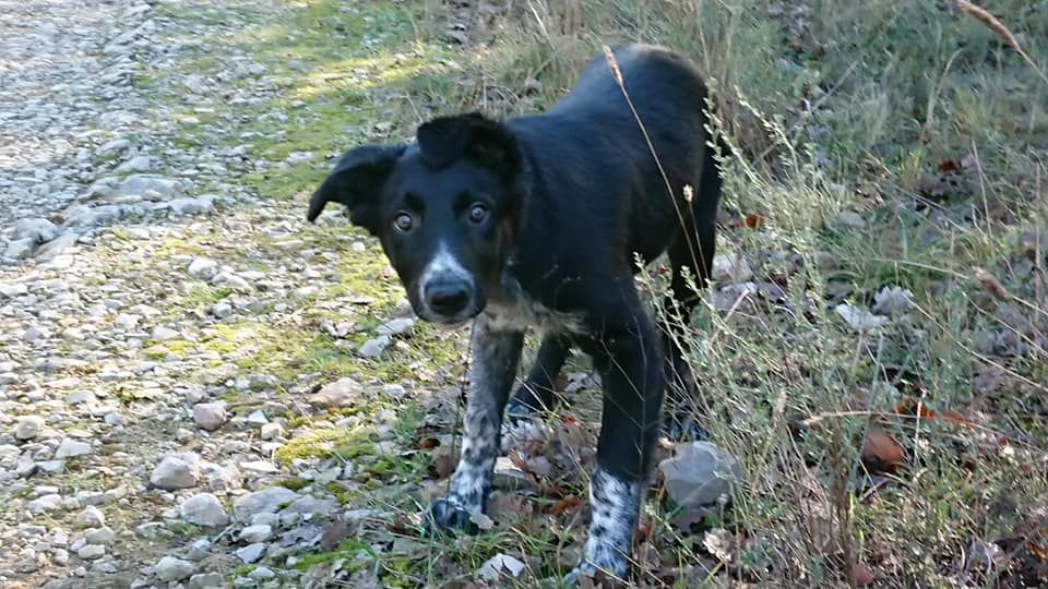 Occhiolino des Crocs de Provence