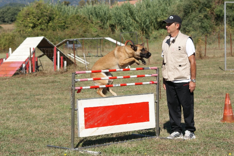 Etna appelée enza des Loups de Saint-Benoît