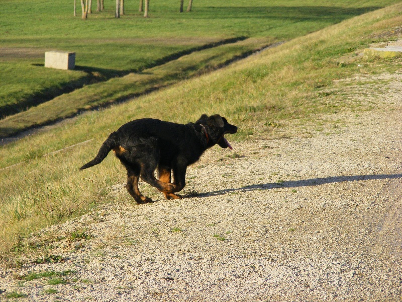 Hisme du regard mordant