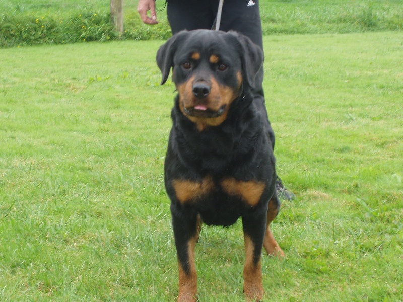 Boulba des rotts de la Catee