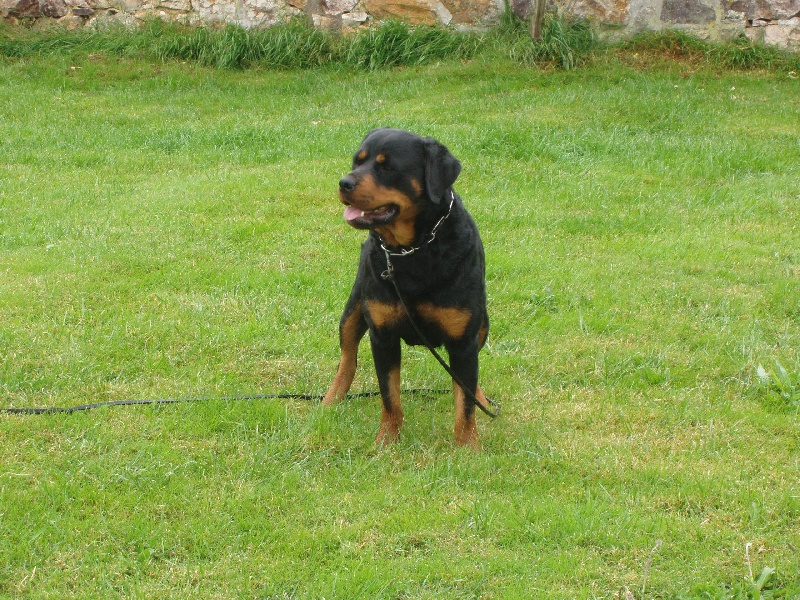 Boulba des rotts de la Catee