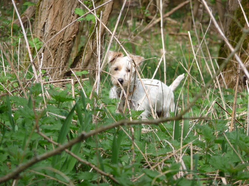 Uldda Des marais de courmont