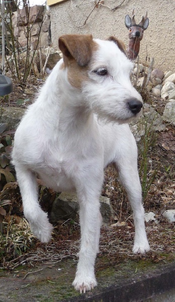 Caly De la petite noisette