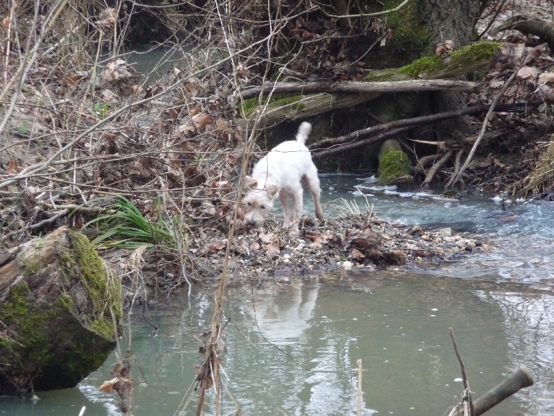 Uldda Des marais de courmont