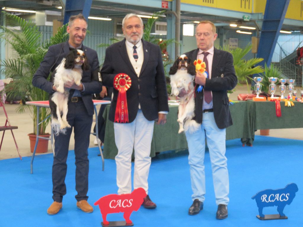 De la tierra de suerte - Mazeltov Champion de France