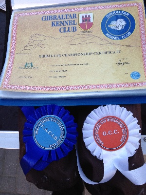 du Domaine d'Halliwell - CHAMPIONS DE GIBRALTAR  !!!!