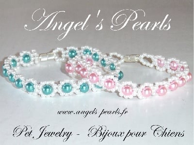 Bijoux pour chiens d'Angel's Pearls