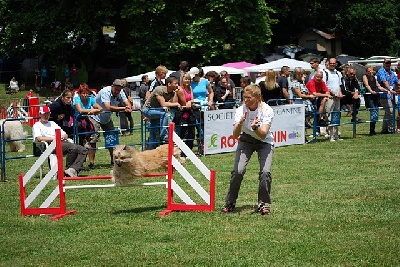 du Champ D'Onix - Ch. CS Van Gogh : 3ème au Championnat de France d'Agility