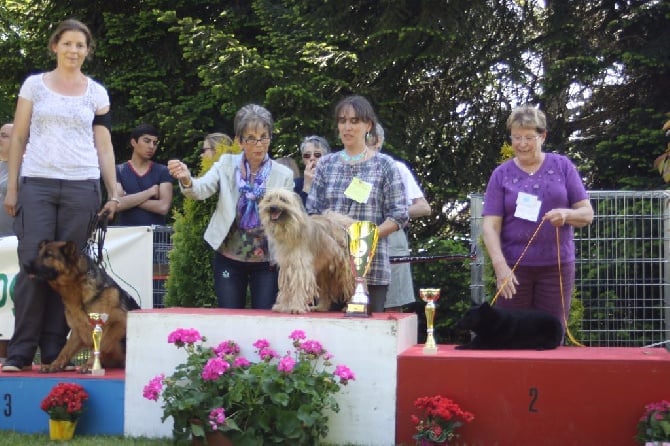 du Champ D'Onix - HELLO : Meilleur chien du 1er Groupe à St Ambreuil 71