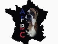 De la queue du grill - AFBC