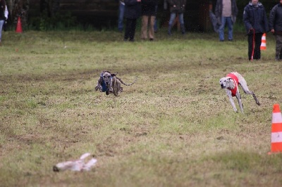 D'Imi-N-Tanout - Dernieres sorties...