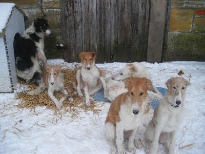 iz Homierovskoï Pekarni - dernier jour de neige le 21 dec