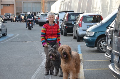 du Val de Méouge - Expo CACIB de Gênes 16 nov 2013 Ewa BOB;Ubhis Meilleur vétéran