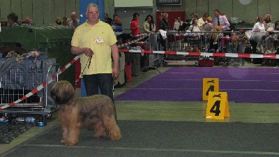 du Val de Méouge - Europa du Val de Méouge 3ème exc  DOG SHOW LUXEMBOURG 1er avril 2012