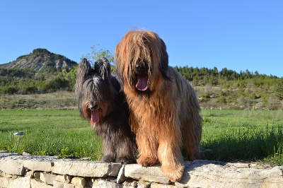 du Val de Méouge - Ubhis et Ewa en vacances à Barret sur Méouge fin avril 2013