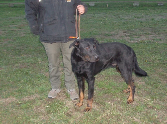 du Trefle Noir - Journée beauceronne de Meulan