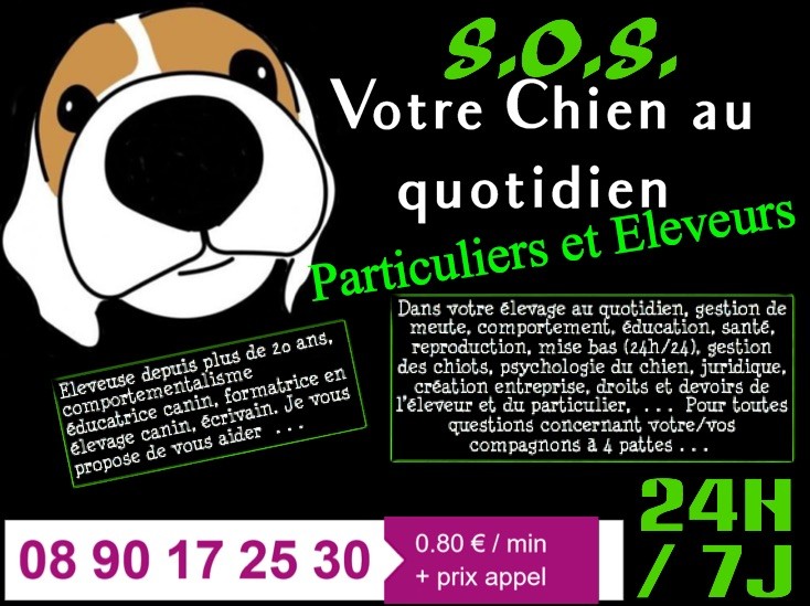 SOS VOTRE CHIEN AU QUOTIDIEN