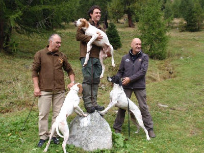 du comte de Batz Castelmore - Chpt d'EUROPE MONTAGNE Pointer. SUISSE Le 27 Octobre 12