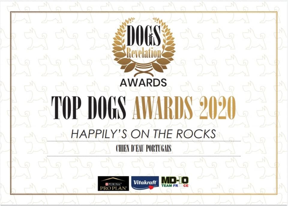 Happily's - MEILLEUR Chien d'Eau Portugais  2020