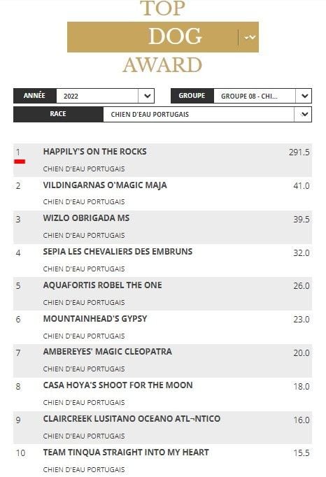 Happily's - MEILLEUR Chien d'Eau Portugais 2022